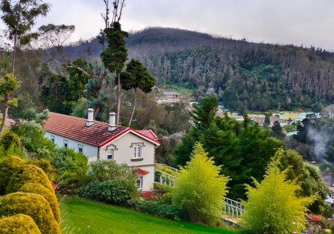 The Humming Bird A Stay Chapter