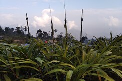 Himalayan Homestay Sillery Gaon, Kalimpong Himalayan Homestay Sillery Gaon, Kalimpong