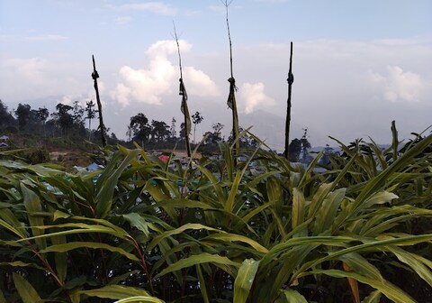 Himalayan Homestay Sillery Gaon