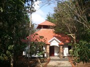 Coffee Mist - I, Wayanad Coffee Mist - I, Wayanad