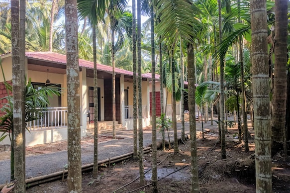 The Leafy Cottages | Rooms & Caretaker