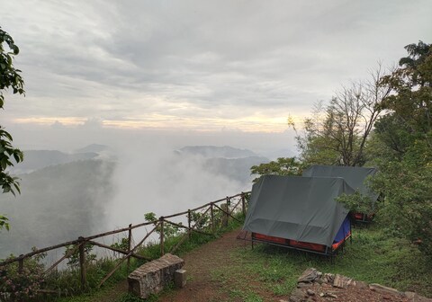 Camp Lights Munnar