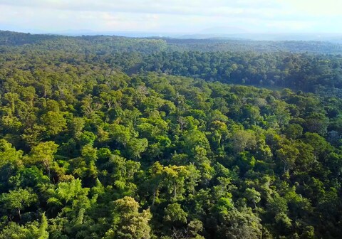 Misty Night Jungleside Resort