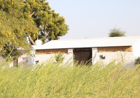 DSG SAFARI CAMP Jawai