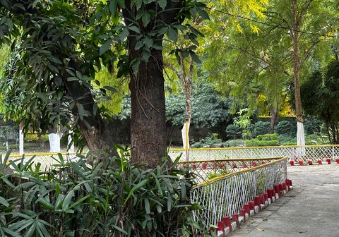 In harmony with nature