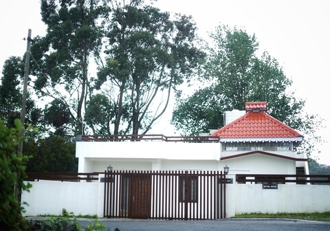 Plum Tree, A cosy place with homemade food