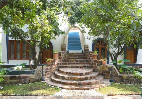 Mango Mist Mango Tranquil