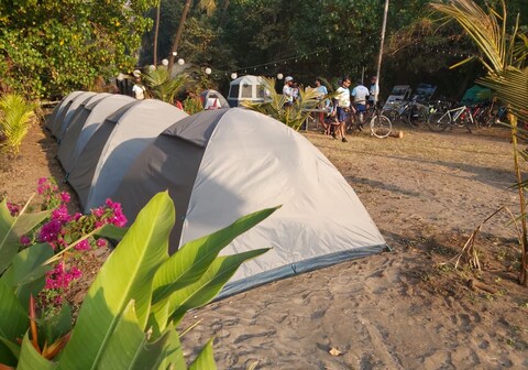 Travel Moody Campsite