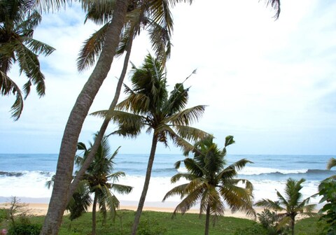 Wind Surf Beach House