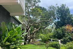 Nights And Rains, Thiruvananthapuram Nights And Rains, Thiruvananthapuram