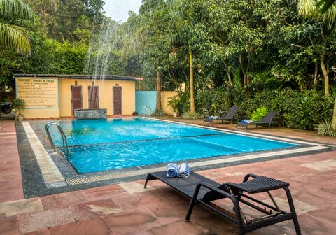 Corbett Tigers n Trees