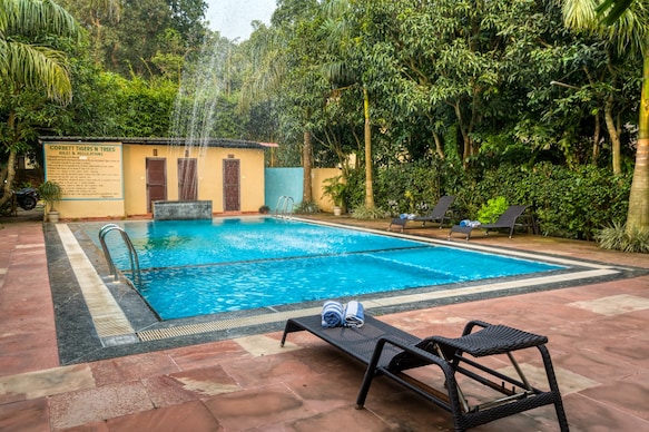 Corbett Tigers n Trees