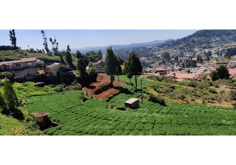 mount n hills resort