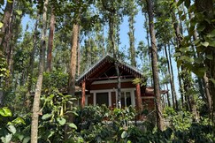 Coffee Grove Resort , Chikmagalur Coffee Grove Resort , Chikmagalur