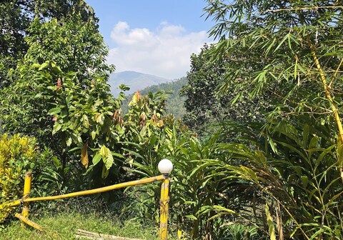 Idam Homestay near Munnar