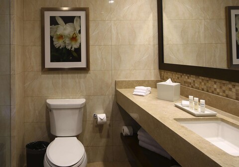 Hilton Garden Inn Cusco, Peru