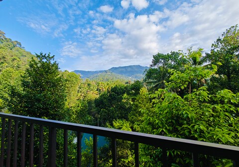 Luna Munnar Rooms