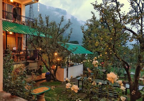 Madpackers Manali Rooms|Dorms