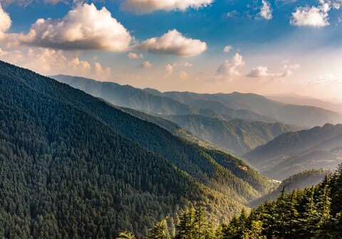 The Cloudberry Mashobra