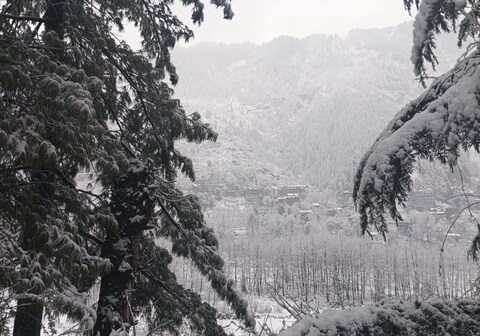 Universal Boutique By Venture Vibes