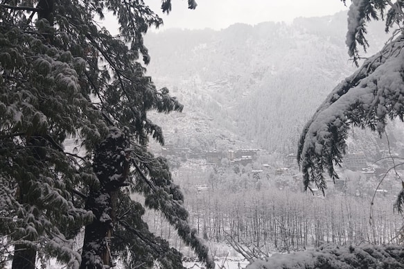 Universal Boutique By Venture Vibes