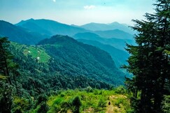 Bamboo Jungle Resort, Dhanaulti Bamboo Jungle Resort, Dhanaulti
