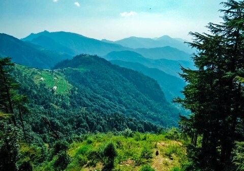 Bamboo Jungle Resort