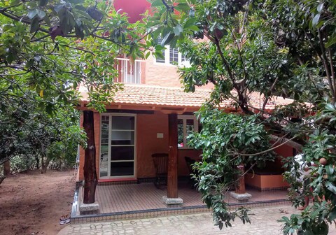 Prakruti Farms l Hornbill