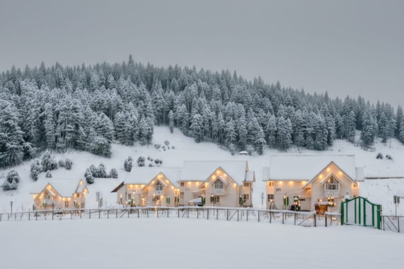 Green Rooms Resort Gulmarg