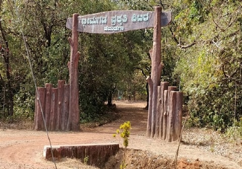 Bhimgad Adventure Camp by Jungle Lodges