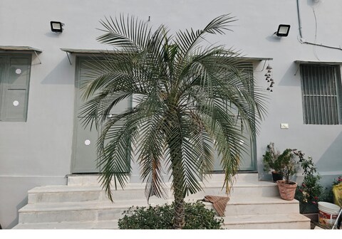 Sindhi villa
