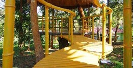 Blooms Homestay, Wayanad Blooms Homestay, Wayanad
