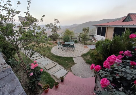 Woodpecker's nest by lake & woods Muktshwar