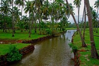 Humblebee Holiday Apartments, Goa Humblebee Holiday Apartments, Goa