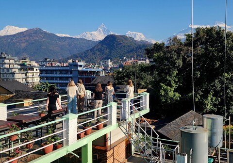 Kiwi Backpackers Hostel