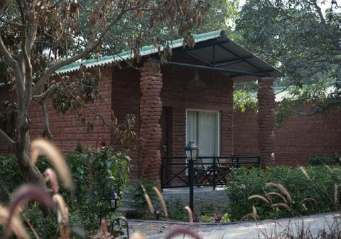 Mango Tree Resorts