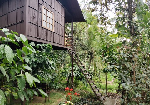Lo Adoro Tree House Tourist Homestays