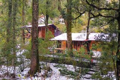 Ayar Jungle Resort, Bhowali Ayar Jungle Resort, Bhowali