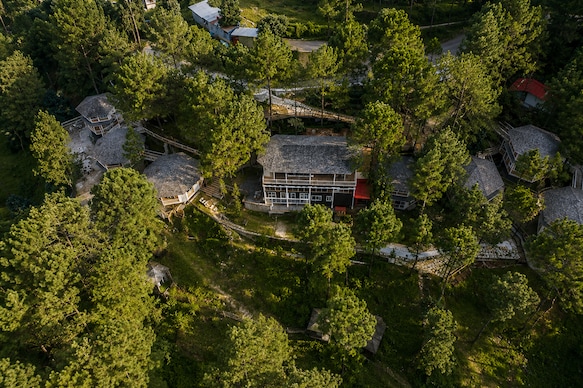 The Woods Retreat