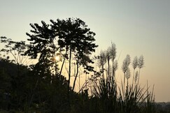 Teplong, Kohora Teplong, Kohora