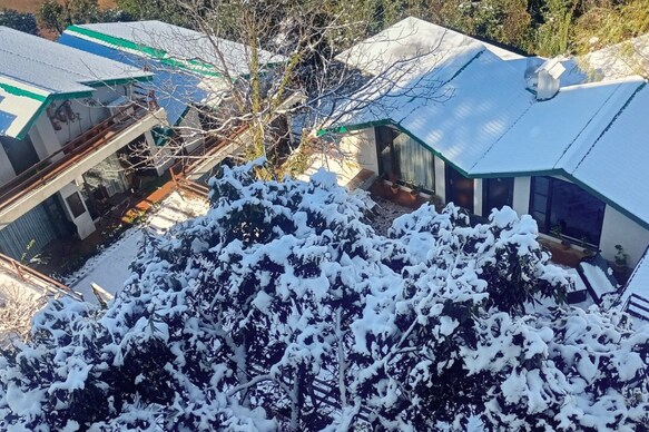 Woodsmoke Retreat (12kms before Shimla)