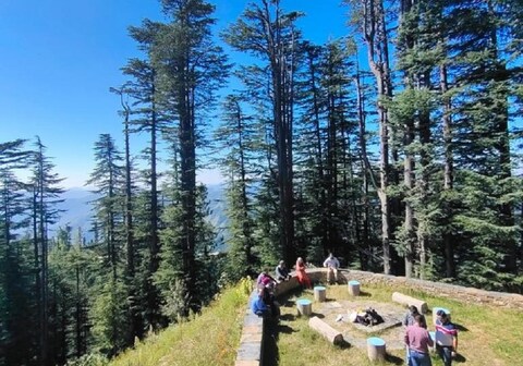 Countryside Apple Orchard