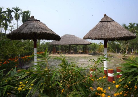 Dragon Fruit Farm Stay