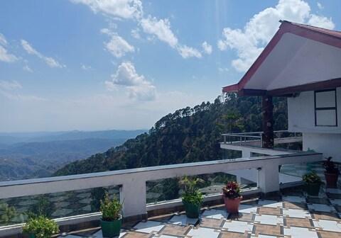 Green Palms Rubystone Exotic