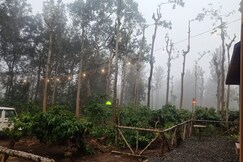 Antelope wild stays, Wayanad Antelope wild stays, Wayanad