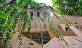 Hotel Pallava Dynasty, Mahabalipuram Hotel Pallava Dynasty, Mahabalipuram
