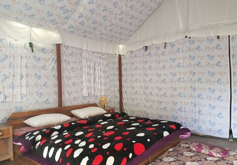 Manali Picnic Spot and Camps
