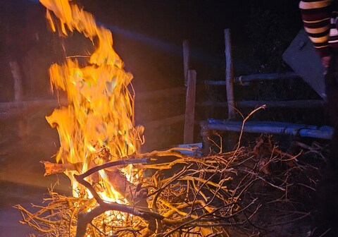 Carrot Creek Ooty Resorts