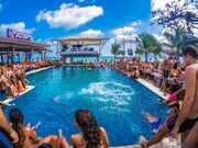 Ark Bar Beach Resort Ark Bar Beach Resort