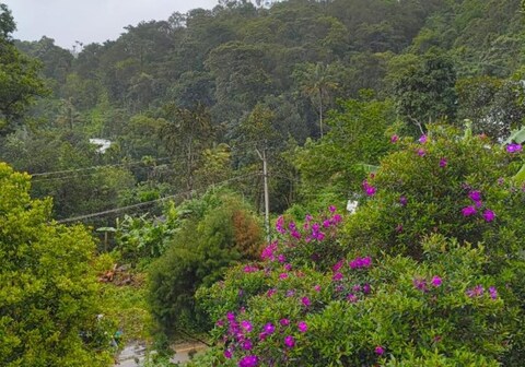 Highland homestay munnar